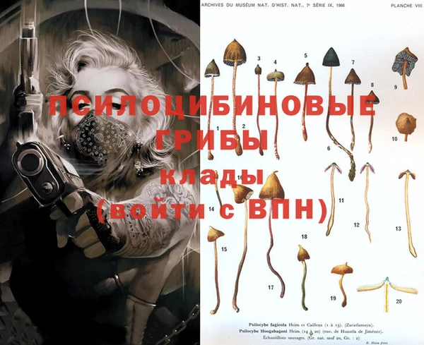 СК Нягань