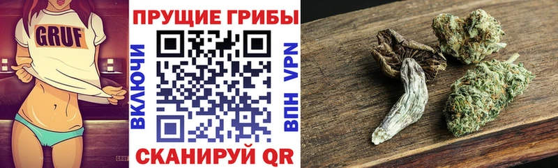 Галлюциногенные грибы Cubensis Пыталово