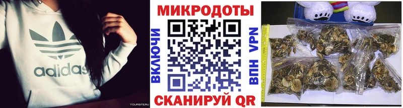 ОМГ ОМГ сайт  где купить наркоту  Пыталово  Галлюциногенные грибы Magic Shrooms 